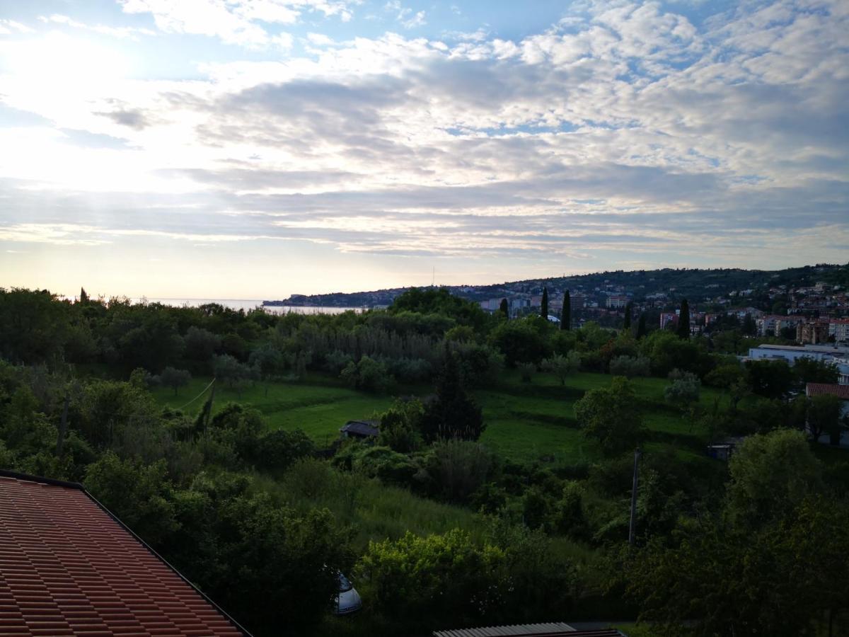 Solmar, Apartment With Big Terrace Near Nature Portorož Kültér fotó